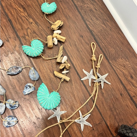 Natural Sea Shell Collection - Assorted Colors - Picture 2 of 4